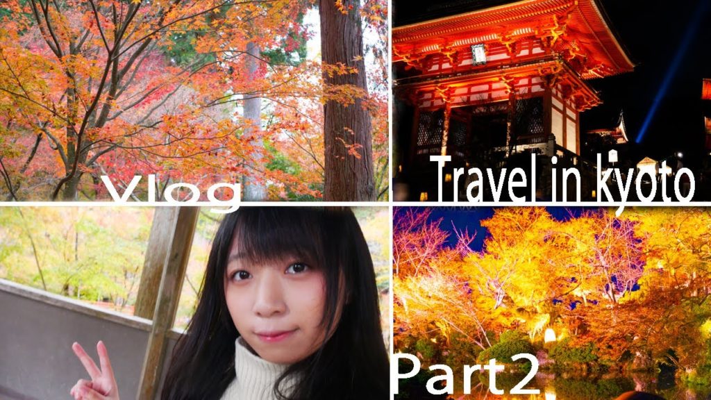 【Vlog】-Travel in kyoto-ジンバルが欲しくなる京都旅行【Part2】