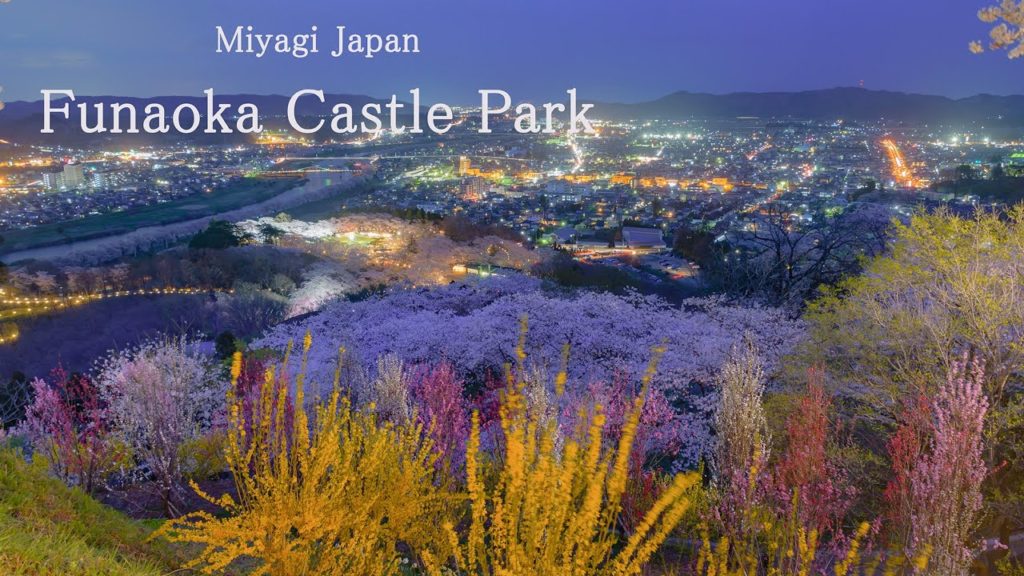 [4K]Funaoka Castle Park 桜の名所 船岡城址公園 宮城県の美しい風景  Beautiful Scenery of Cherry Blossoms in Miyagi Japan