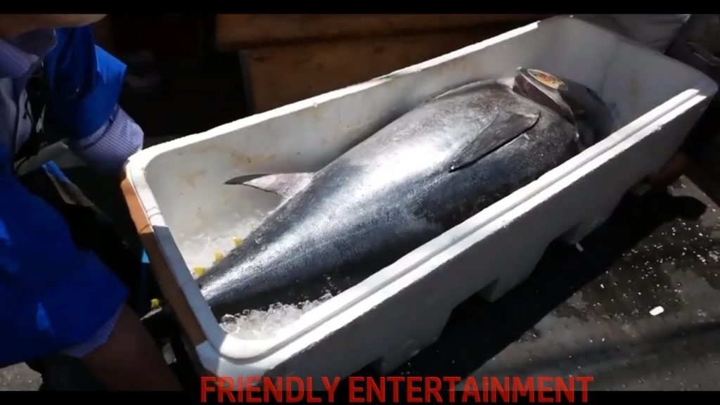 BLUEFIN TUNA FISH CUTTING SKILLS || JAPANESE STREET FOOD BLUEFIN TUNA FISH CUTTING SKILLS || JAPANESE STREET FOOD