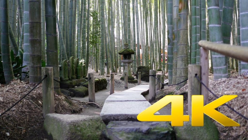 Kamakura Hokokuji Temple - Kanagawa - 報国寺 - 4K Ultra HD