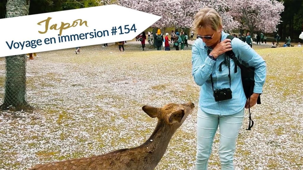 JAPON : AU PAYS DU SOLEIL LEVANT - VLOG#154