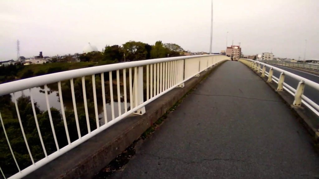 (1661) From Nagoya International Airport to all over Japan! (your travel reference video)