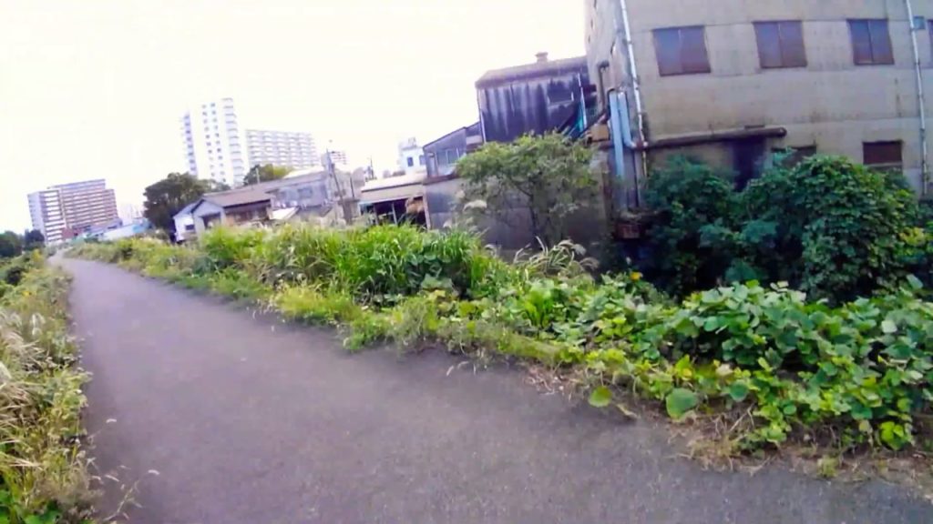 (1660) From Nagoya International Airport to all over Japan! (your travel reference video)