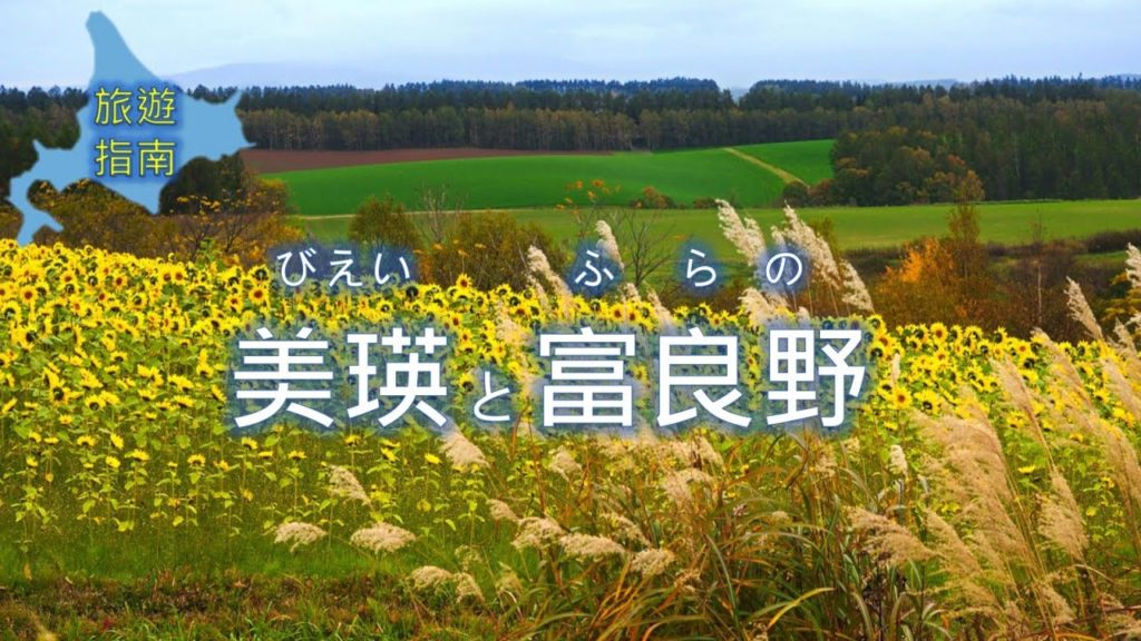 北海道 美瑛 富良野 交通與景點 下集 / 祕境金山黃金紅葉 / 日本攻略6