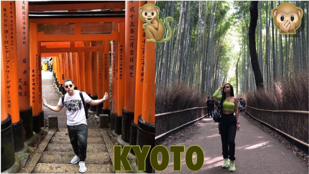 FEEDING MONKEYS IN KYOTO | KJ VLOGS
