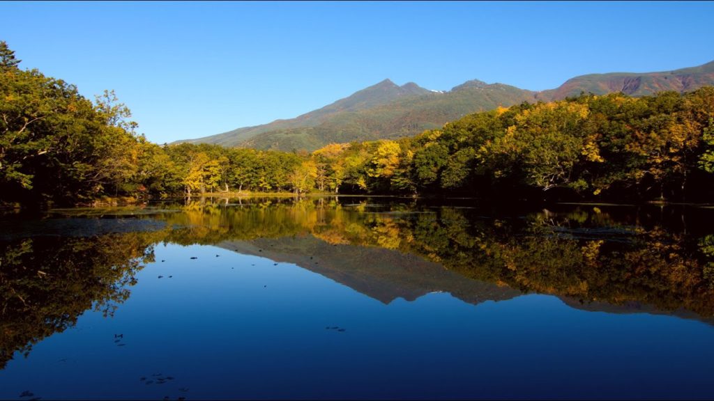 JG☆☆☆☆☆8K HDR 北海道 知床五湖 水鏡に映る秋 Hokkaido,World Heritage Shiretoko,Mirror Image of Five Lakes in Autumn