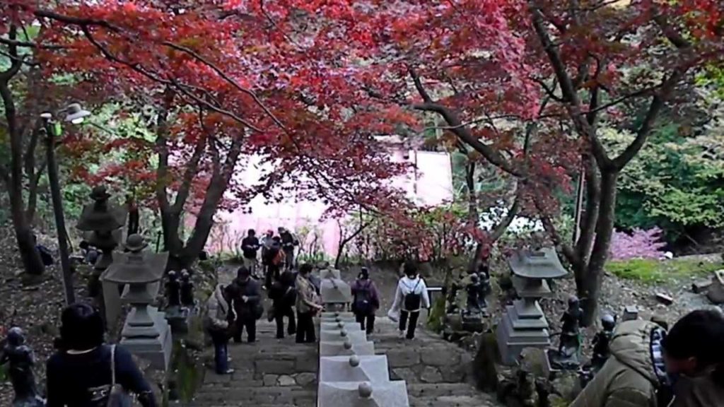 Oyama National Park ● 丹沢大山国定公園