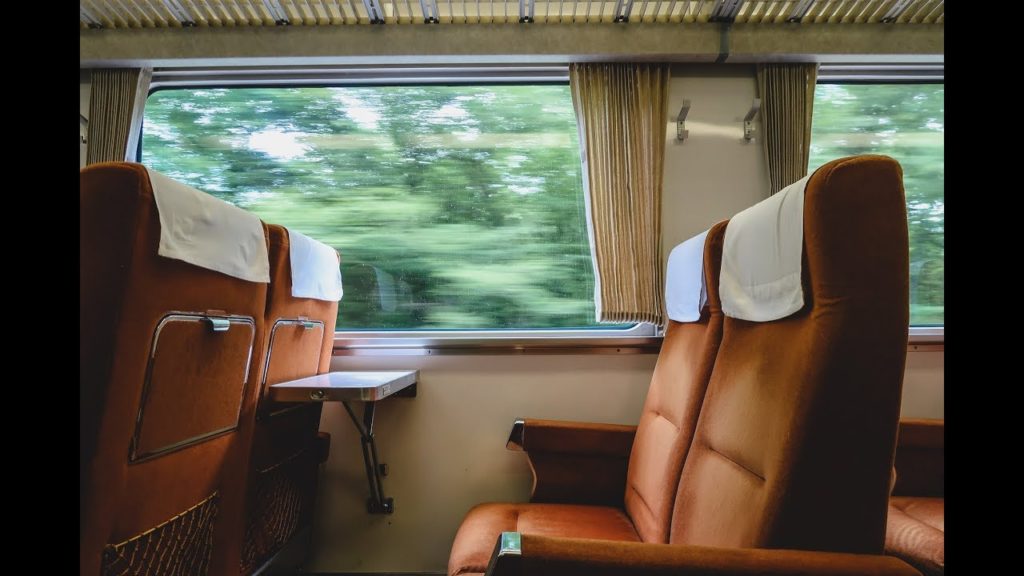 Tokyo to Nikko Train Ride | First Impressions of Nikko, Japan Tokyo to Nikko Train Ride | First Impressions of Nikko, Japan