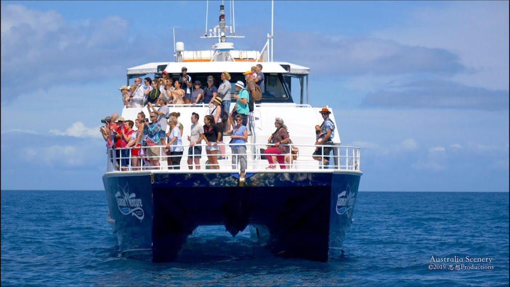 4K Whale watching Hervey Bay AUSTRALIA Part 21 オーストラリア