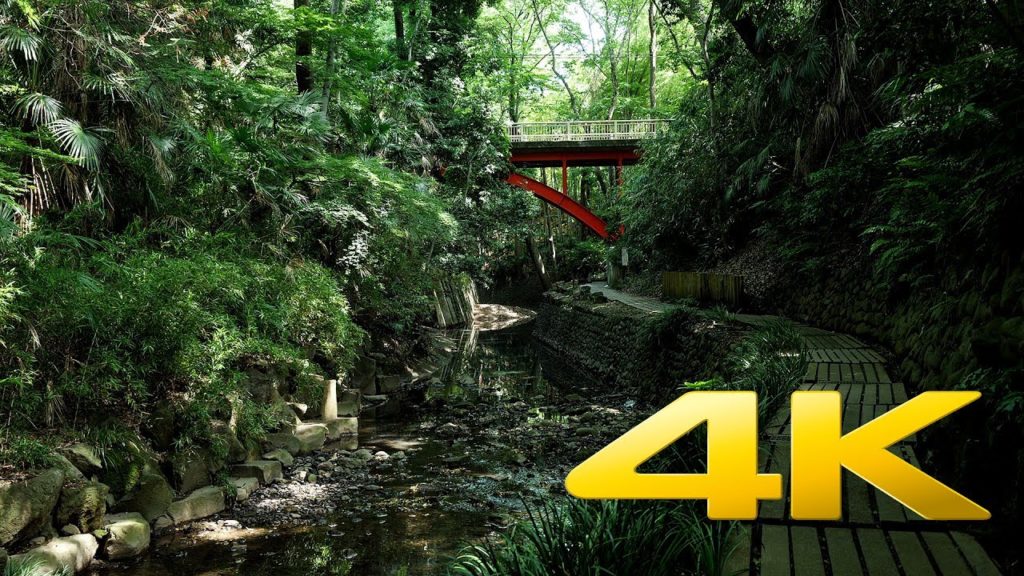 Todoroki Valley, Tokyo's small jungle - Tokyo - 等々力渓谷 - 4K Ultra HD