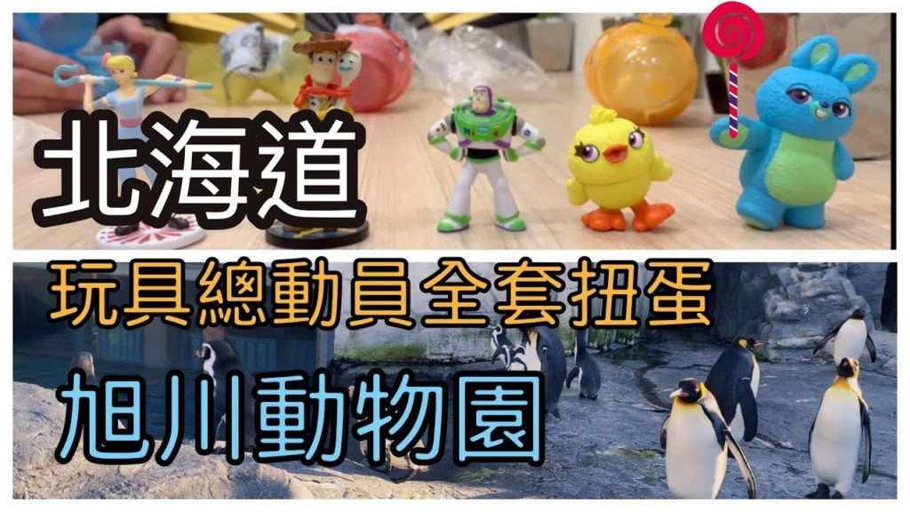 [百八]2019 北海道 Hokkaido 旭川｜動物園｜拉麵村 ｜AEON MALL ｜全套玩具總動員扭蛋 DAY3