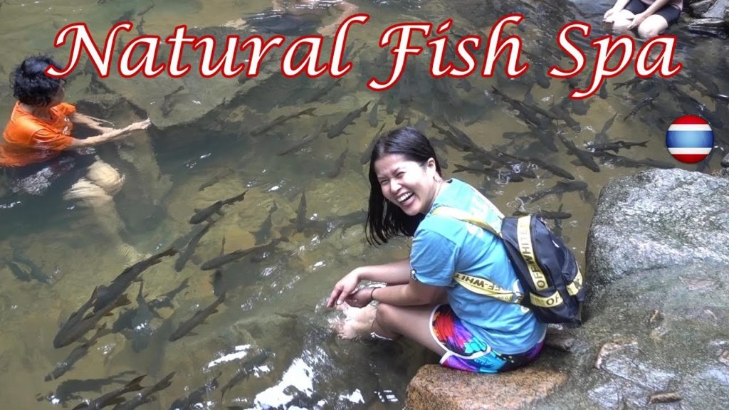 Fish Spa Thailand Namtok Phlio National Park Chanthaburi
