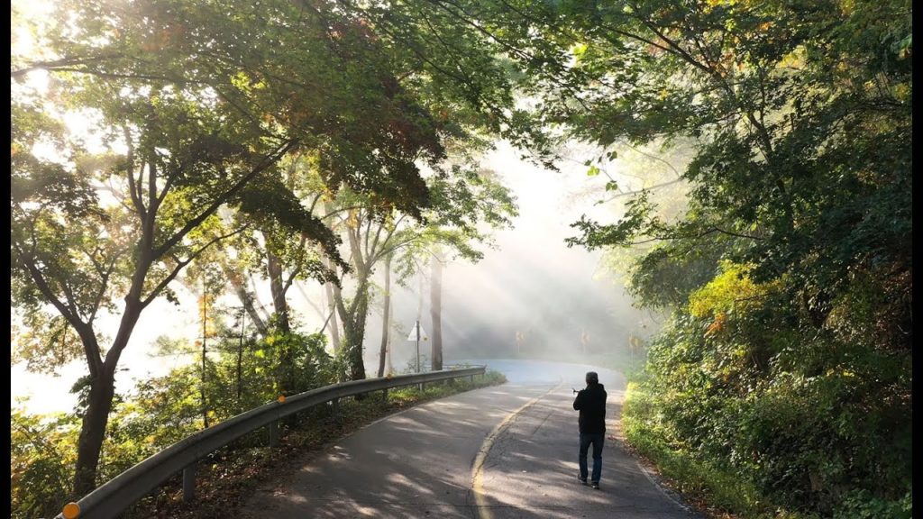 VLOG #47 운해 찾아 삼만리  / 감성여행 / 브이로그 / timelapse / 타임랩스 / 매빅2프로 / mavic2 pro / 4K