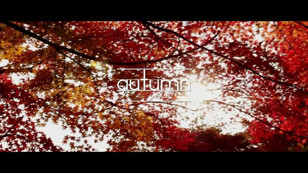 Autumn in Fukui, Japan