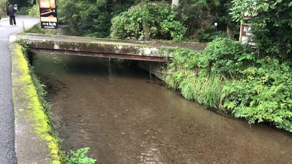 大分・湯布院～金鱗湖畔を散歩！Walk in Japan! Oita Yufuin Hot Spring Area! 2019.10