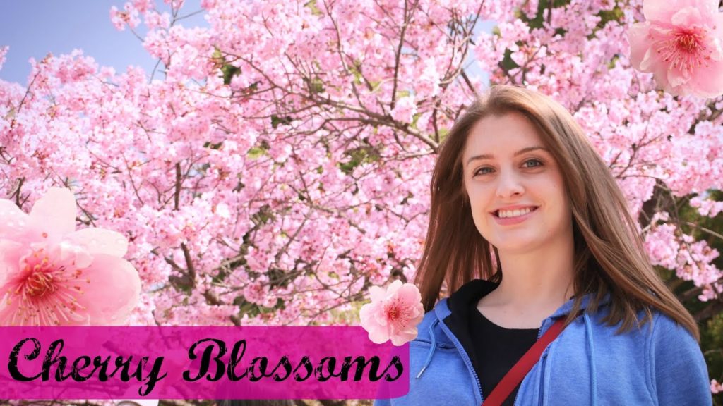 CHERRY BLOSSOMS & STREET FOOD | Tokyo, Japan