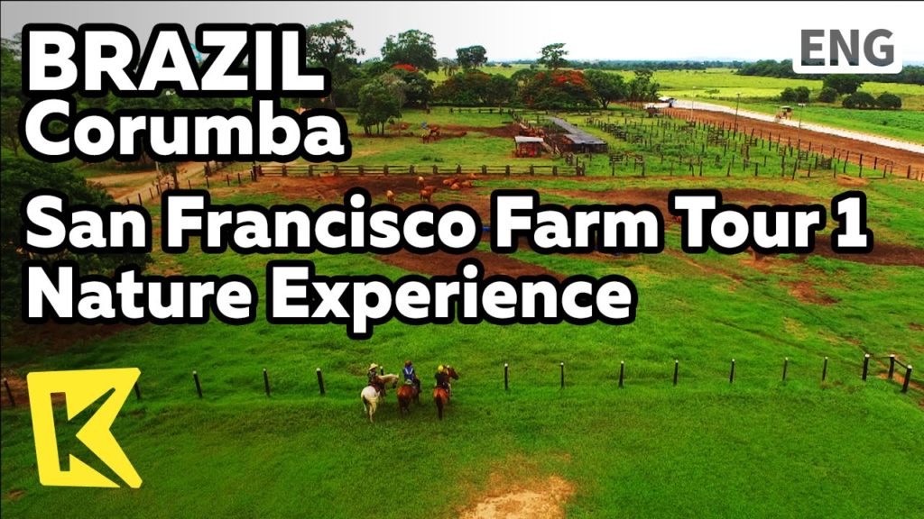 【K】Brazil Travel-Corumba[브라질 여행-코룸바]샌프란시스코 농장 투어 1 대자연 체험/Franciscus/Experience/Farm
