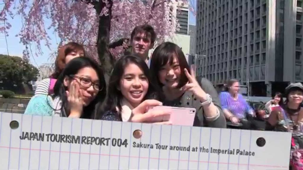 Hanami Tour around at the Imperial Palace（Tokyo） 皇居一周の桜ツアー