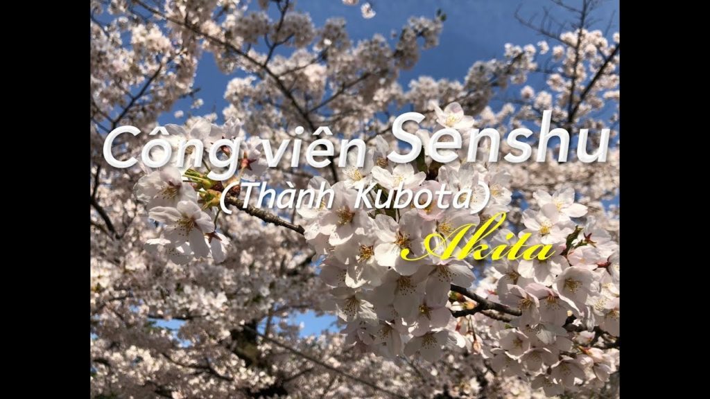 Công viên Senshu (Thành Kubota) , tỉnh Akita