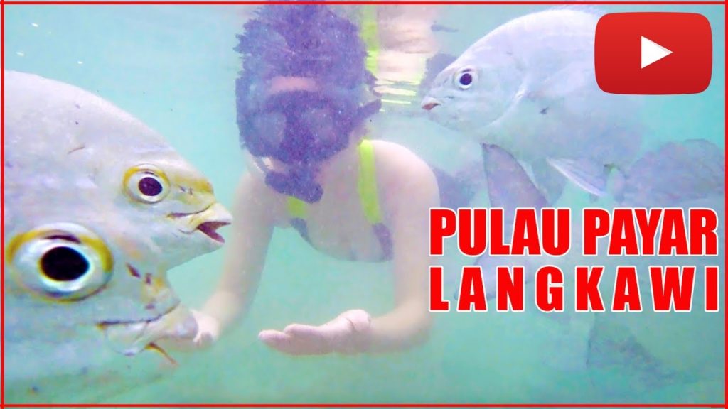 Pulau Payar Marine Park ( Langkawi Malaysia Vlog)