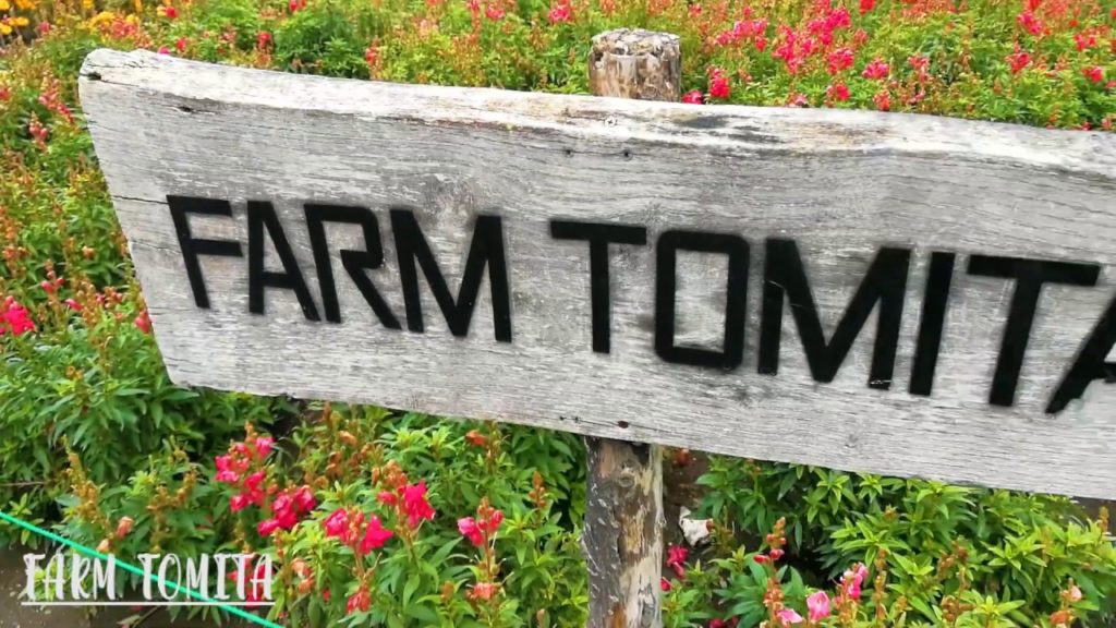 Hokkaido | Sapporo | Japan 2019 Hokkaido | Sapporo | Japan 2019