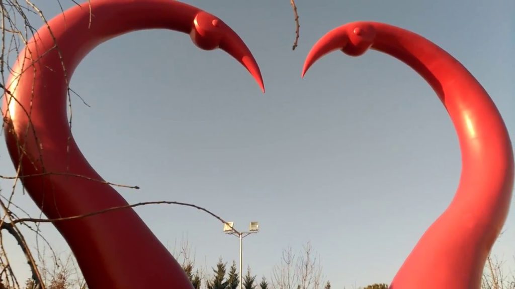 VIAJECONJUAN: Visitar Madrid: Cisnes de corazón rojo, fotos parejas románticas enamoradas.