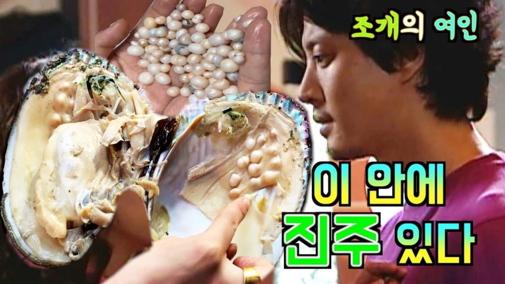 대륙 진주 열기 ,진주한가득 ,소수민족거리,Xi'an,China,中国，西安，回民街，vlog 브이로그