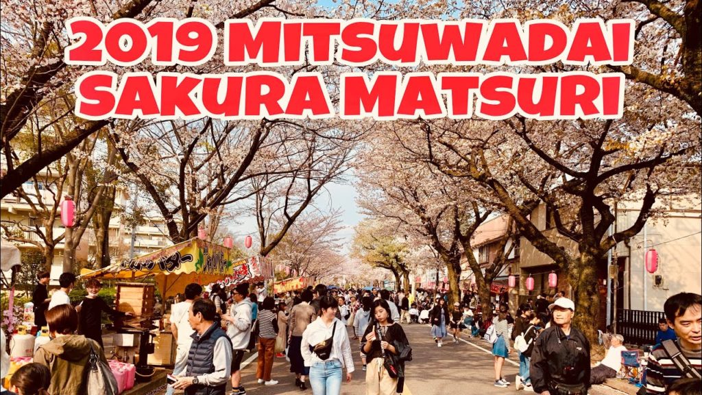 SAKURA MATSURI: 2019 Cherry blossom festival in Mitsuwadai
