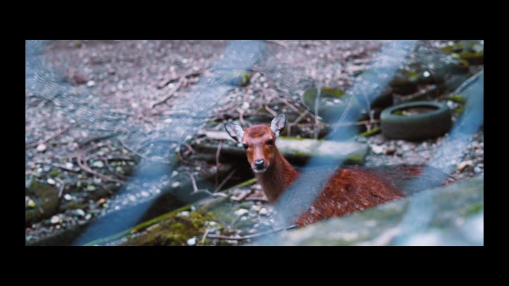 「鉄道の街にいつ動画コンテスト19」Trip to Niitsu 新津への旅 「鉄道の街にいつ動画コンテスト19」Trip to Niitsu 新津への旅