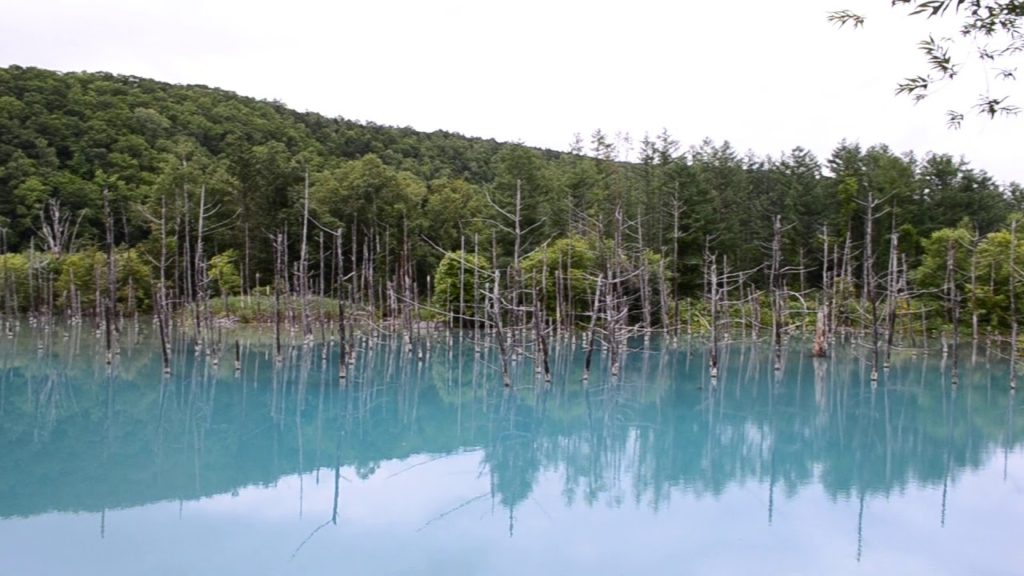 Shirogane Blue Pond, Biei, Hokkaido, Japan in Summer