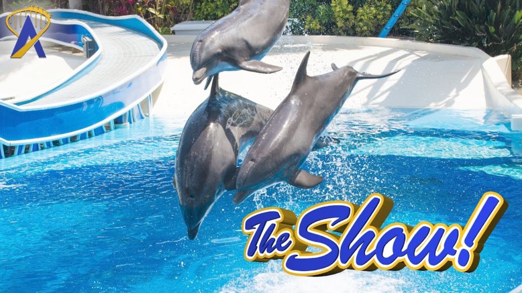 Attractions - The Show - Dolphin Days at SeaWorld; WrestleMania Axxess; latest news - April 6, 2017