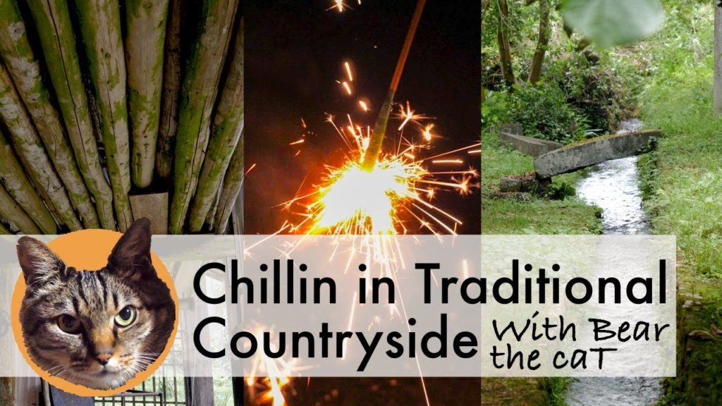 Summer day in rustic Japan