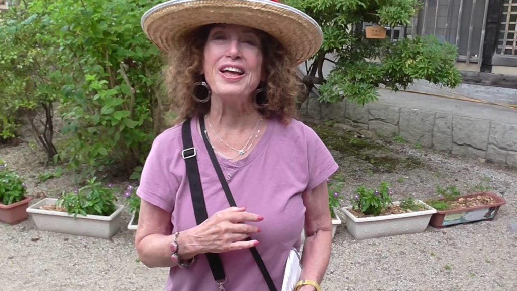 Countryside Sightseeing on Bike or Foot Around Tono, Japan