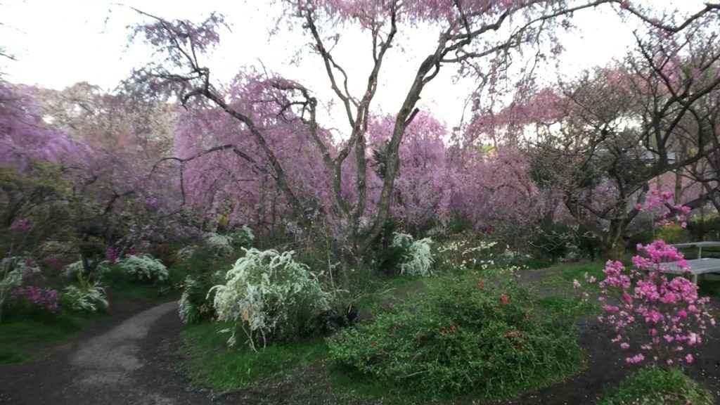 Haradanien - a private garden Paradise Kyoto, Japan