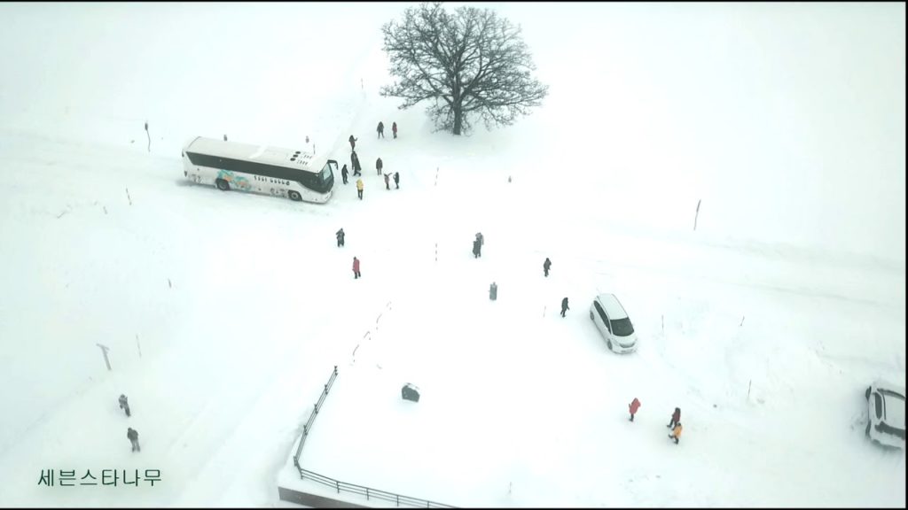 삿포로 비에이 매빅으로 찍은 겨울모습