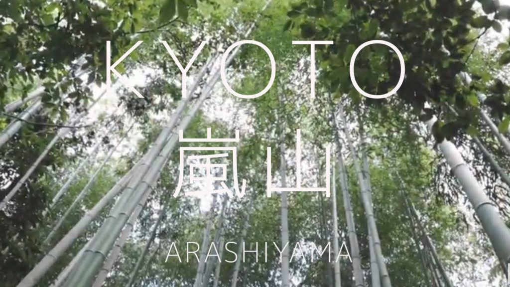 DAY TRIP TO KYOTO ARASHIYAMA
