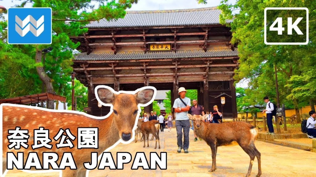 Walking around Nara Park (奈良公園) - Deer Bowing- Ancient Shrines & Temples - Japan Guide 🎧【4K】