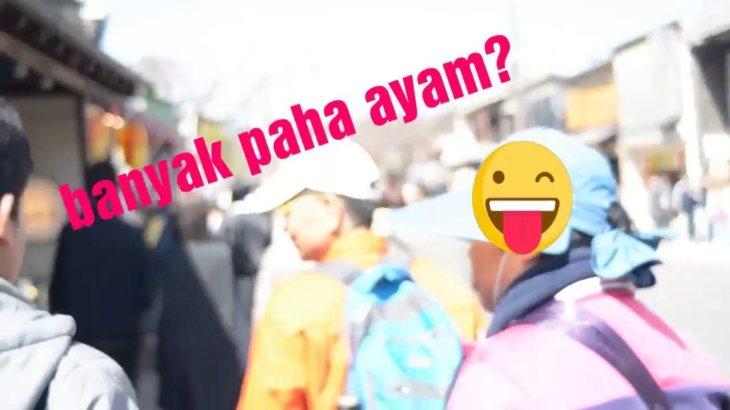 JOMBLO JANGAN BAPER!KAPAN KESINI BARENG PACAR?JAPAN TRIP (2018) ARASHIYAMA BAMBOE KYOTO JAPAN