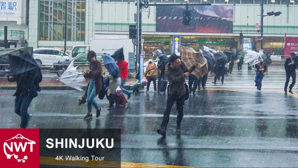 The Storm Hit Shinjuku, Tokyo. And Walked Around After That.