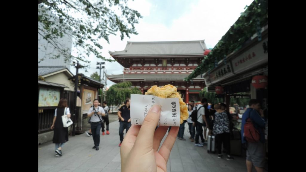 Japan Solo Travel Aftermovie (Tokyo, Kamakura)