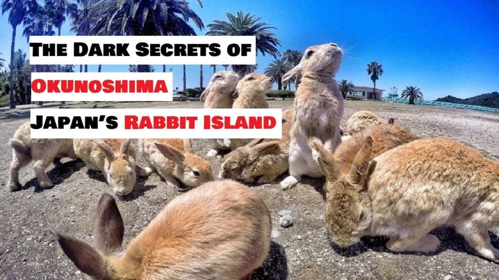 The Dark Secrets of Okunoshima | Japan’s Rabbit Island