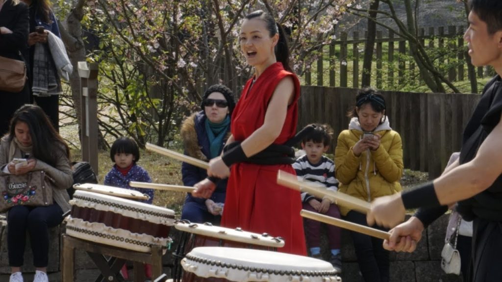 Japanese Cherry Blossom | Hasselt - Belgium | Travel Film