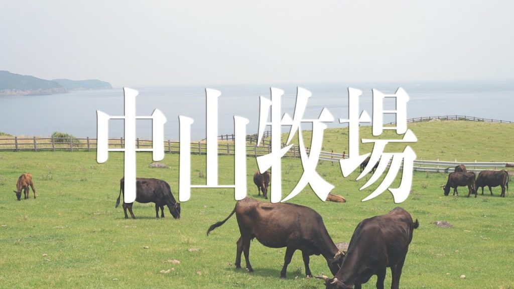 中山牧場直賣店買五星佐賀牛 Best Saga Beef (wagyu) from farm /Travel and Cook日本篇/
