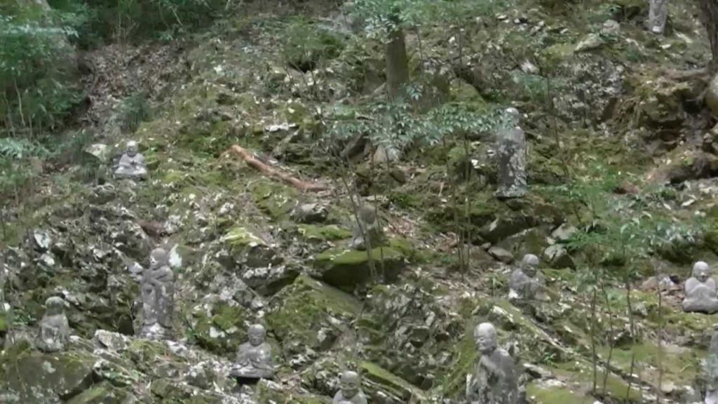 桜・臨済宗方広派本山・方広寺4（浜松市奥山）,Sakura,Hoko-temple,Hamamatsu,Japan