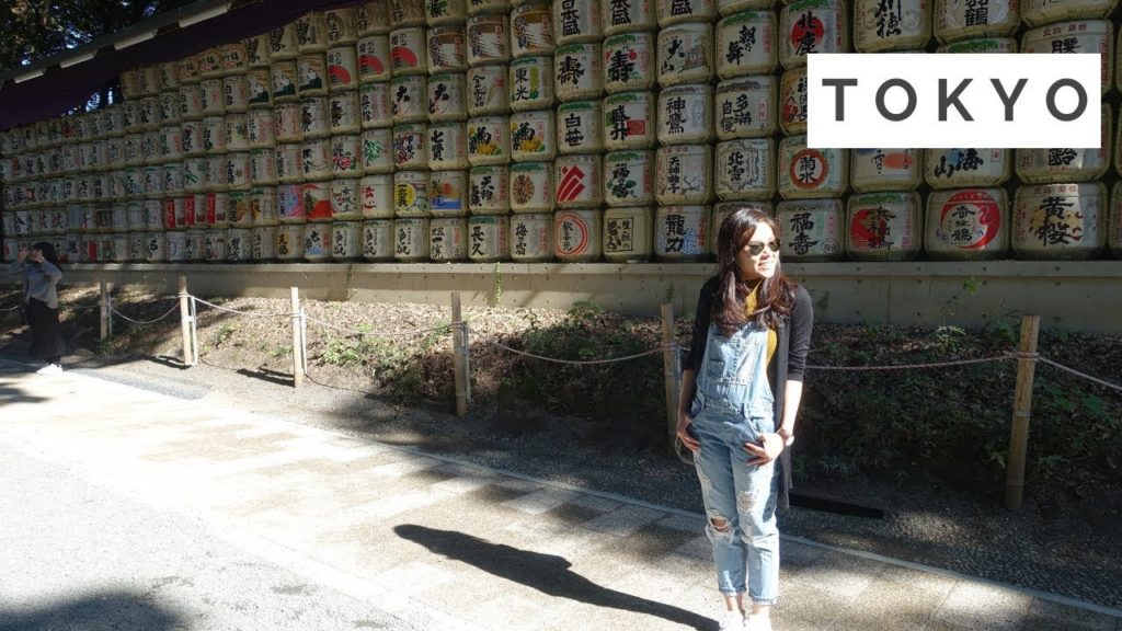 Travel VLOG #9 Tokyo (JAPAN)