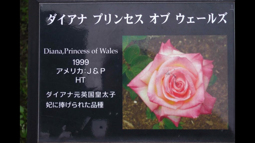 JAPAN - GARDENS & CULTURE (Part 11/12) - KYU FURUKAWA & THE IMPERIAL PALACE EAST GARDENS