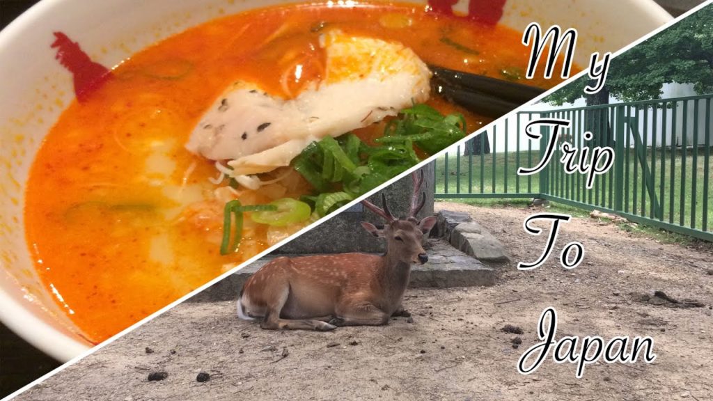 My Trip To Japan | Vlog #7