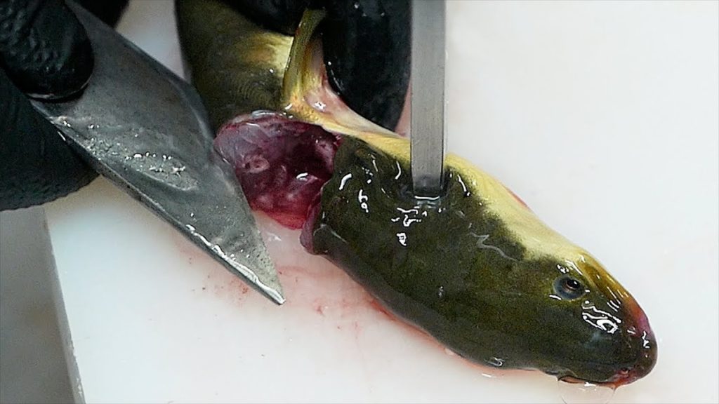 Japanese Food - EEL BURGER Sushi Teruzushi Japan