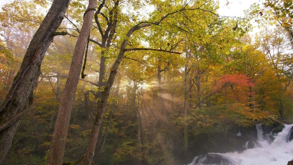 One of the Tohoku region’s, and indeed Japan’s most scenic autumn spots is the O...