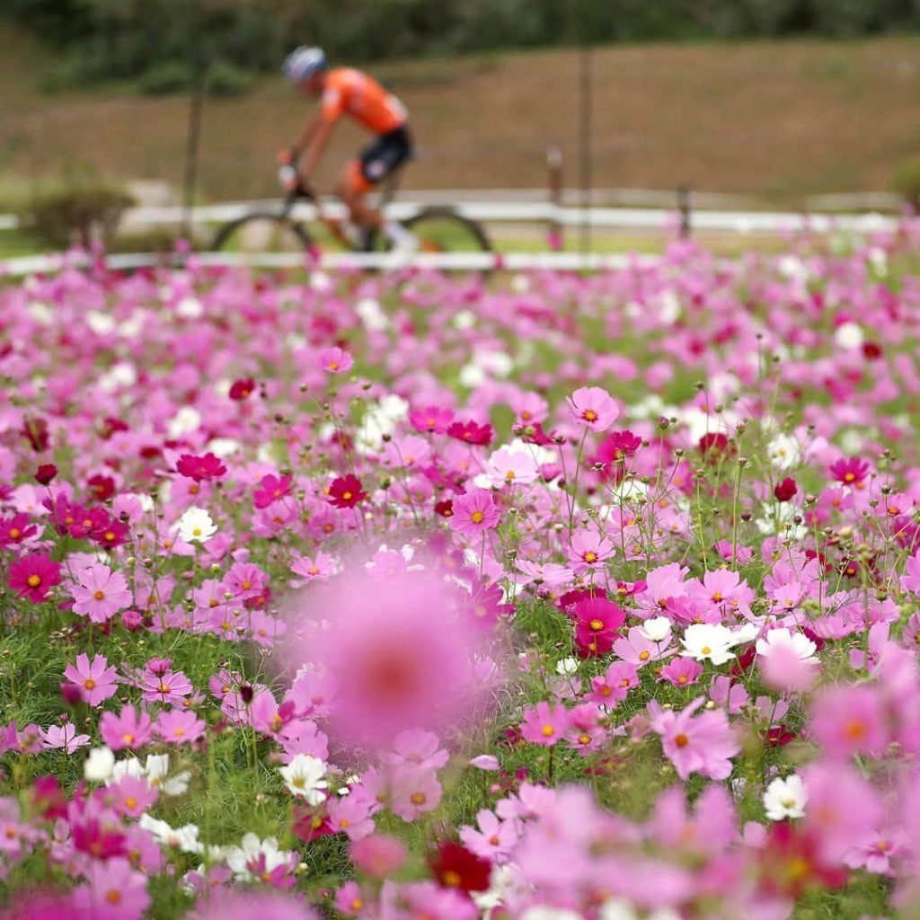 Let's travel to Izu Mountain Bike Course  in Shizuoka Prefecture together, locat...